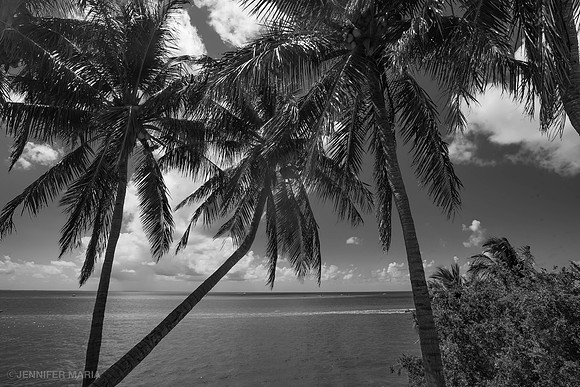 View from Old Seven Mile Bridge