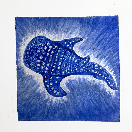 Tiburon Ballena