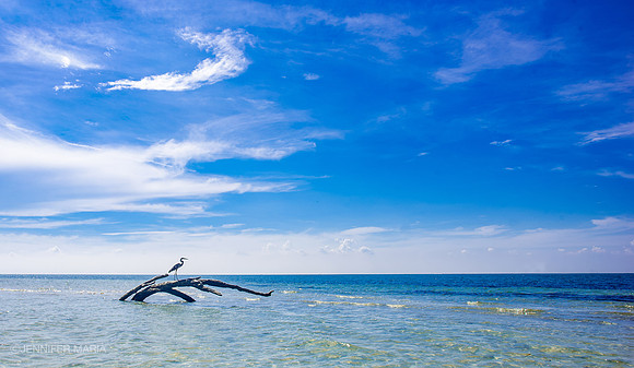 Virginia Key Sandbar