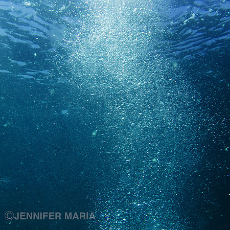 Under the Sea