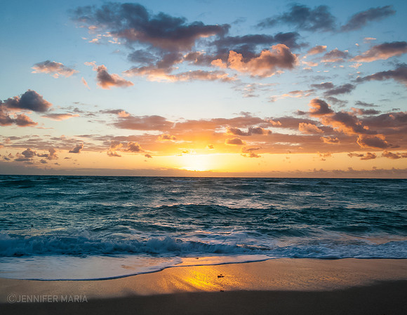 Miami Beach Aurora
