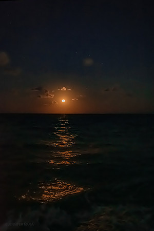 Super Flower Full Moon, Miami Beach