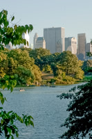 Central Park 2