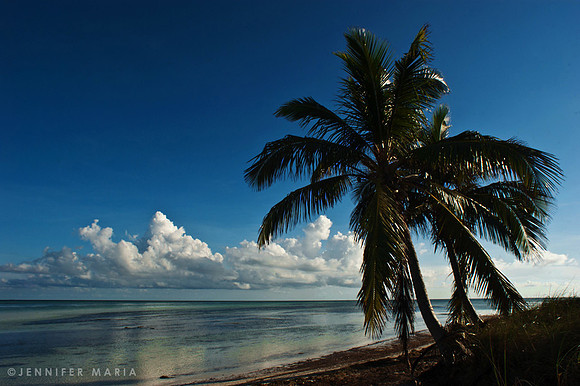 Bahia Honda (Atlantic Ocean)